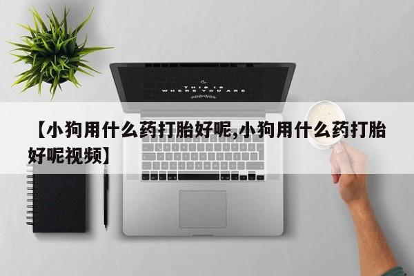 米非司酮片在线购买微信【小狗用什么药打胎好呢,小狗用什么药打胎好呢视频】