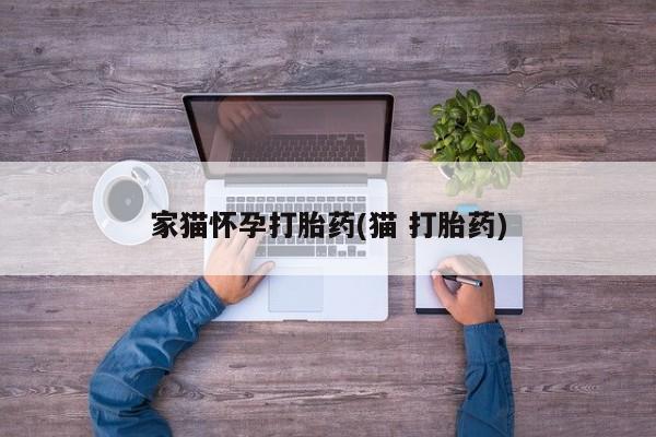 米非司酮片在线购买微信家猫怀孕打胎药(猫 打胎药)